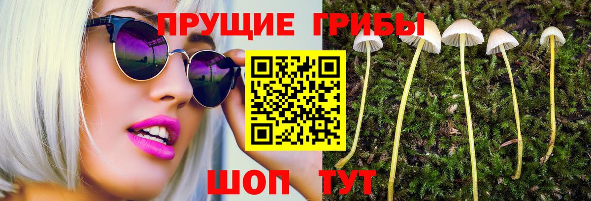 Псилоцибиновые грибы мицелий  Галлюциногенные грибы Cubensis  Вход с VPN  Ипатово 